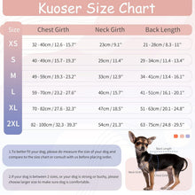 Hundebody Nach OP, Kastration Rüde, Hündin, Atmungsaktiv XS