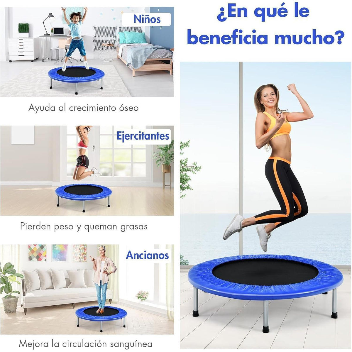 Klappbares Fitness Trampolin Ø97 cm – Blau, 150 kg