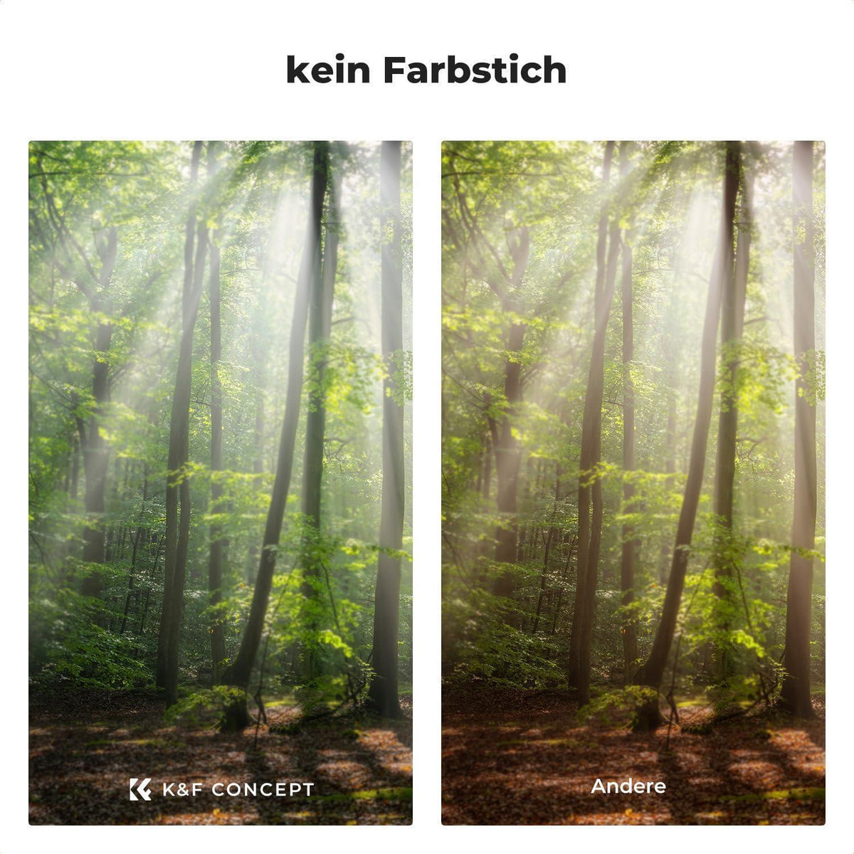 Black Mist Filter Set für Video & Portraitaufnahmen
