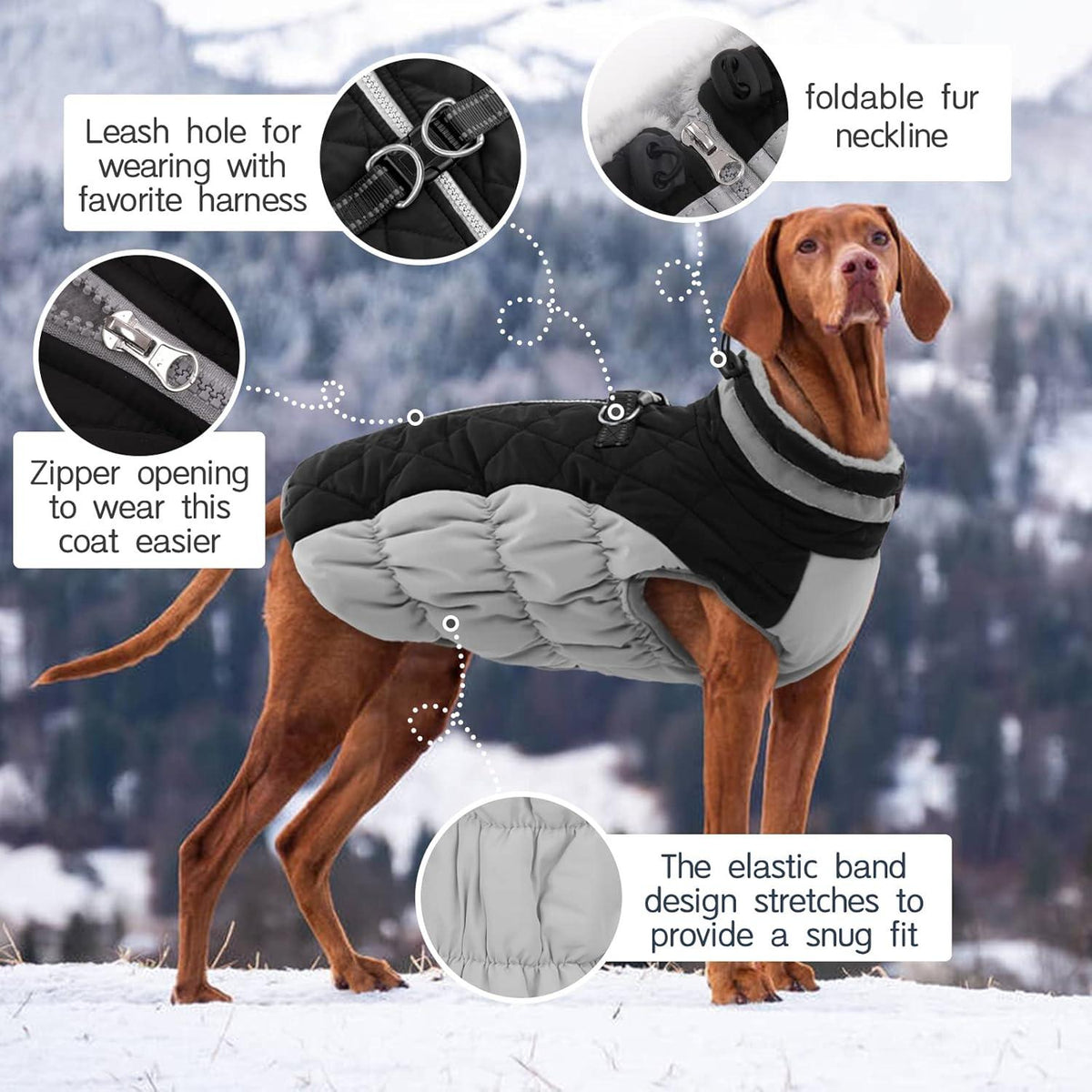 Wasserdichter Hundemantel Winterjacke für kleine bis große Hunde