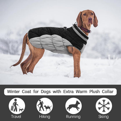 Kuoser Wasserdichter Hundemantel Winterjacke für Kleine bis Große Hunde