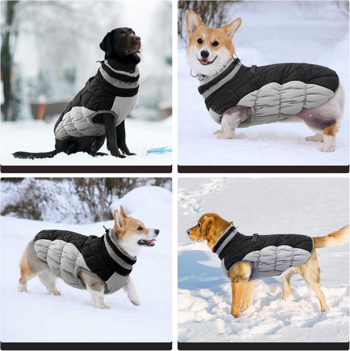 Kuoser Wasserdichter Hundemantel Winterjacke XS Schwarz