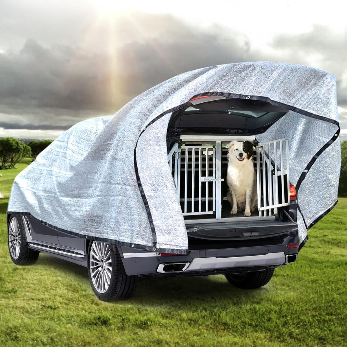 Schattennetz Auto Hund – Sonnenschutz Alu 4x6m