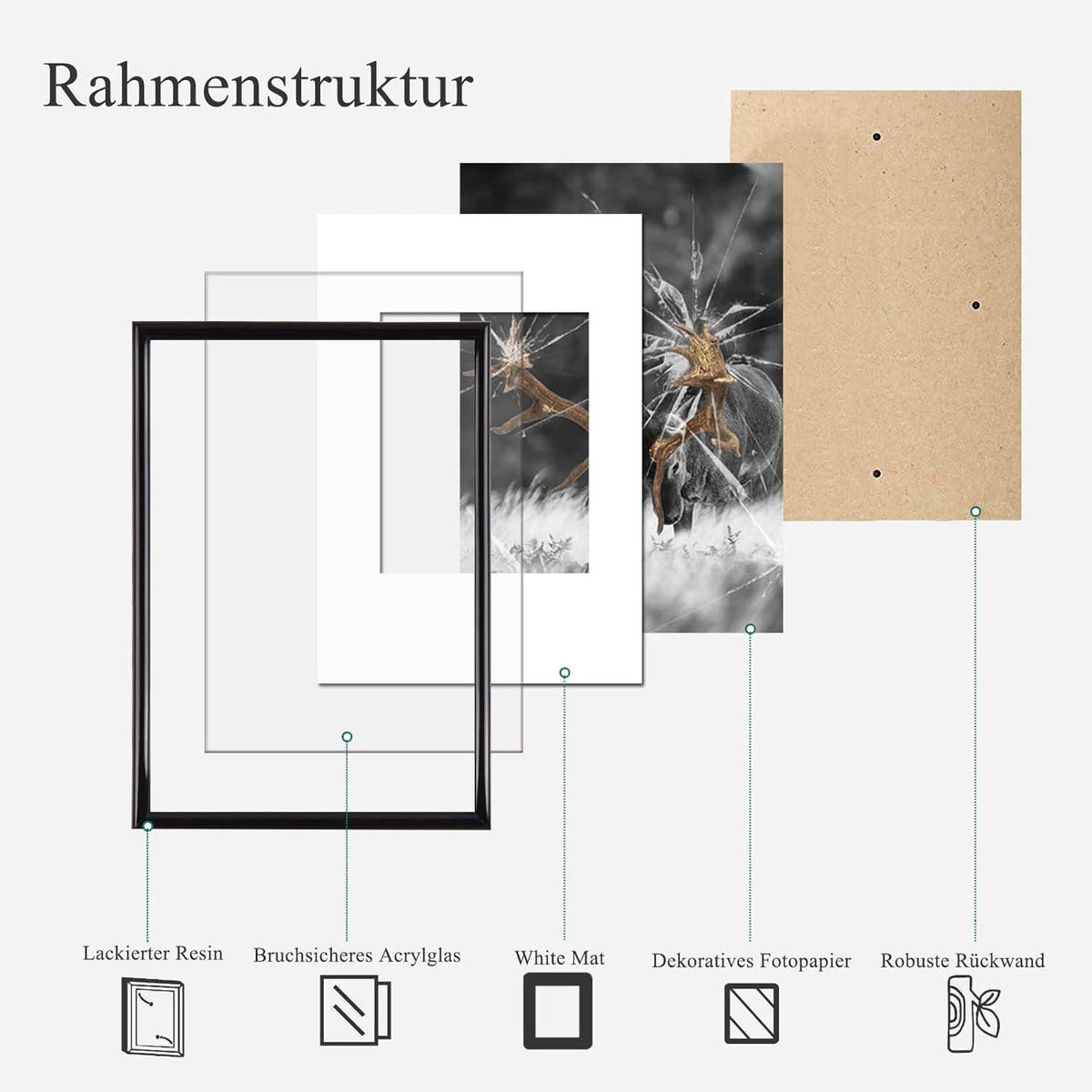 5er Set Schwarz Fotorahmen DIN A4 Plexi-Glas Portraitrahmen für
