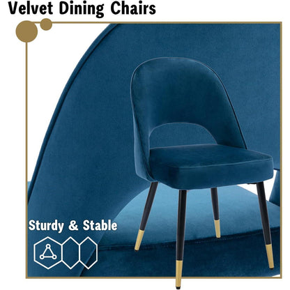 Samt Esszimmerstühle 2er Set – Modern & Komfortabel (Blau)