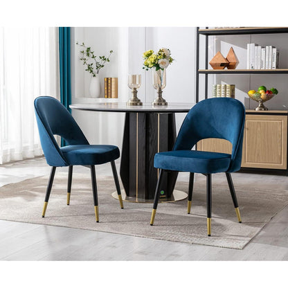 Samt Esszimmerstühle 2er Set – Modern & Komfortabel (Blau)