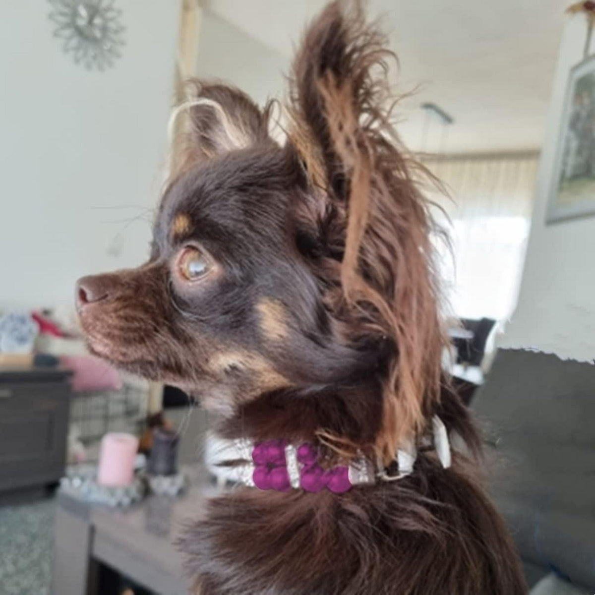 Hundehalsband Perle Violett, Verstellbar M 33cm