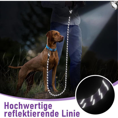 Schleppleine für Hunde, 10m, mit abschließbarem Karabiner, gepolsterter Griff