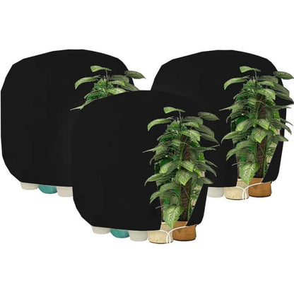 Winterschutz Pflanzenabdeckung 200x240cm - 3er Set
