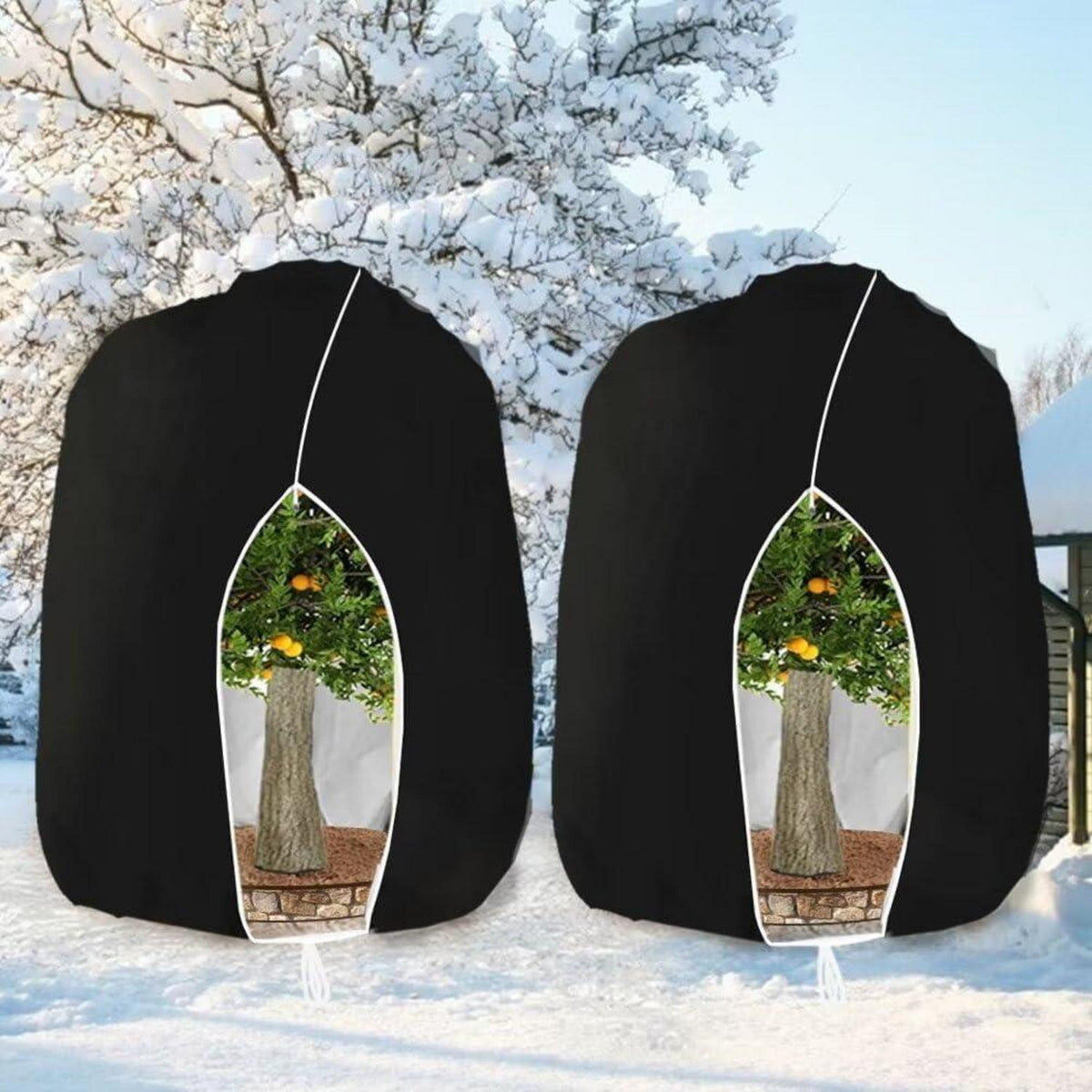 Winterschutz Pflanzenabdeckung Frostschutz 250x360cm (2er-Set)