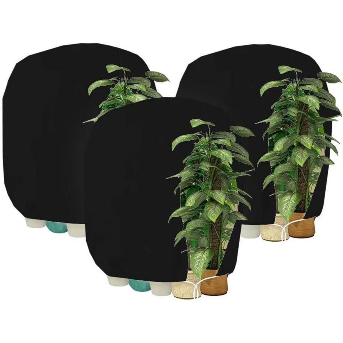 Winterschutz Pflanzenabdeckung Frostschutz 160x180cm Schwarz 3er-Set