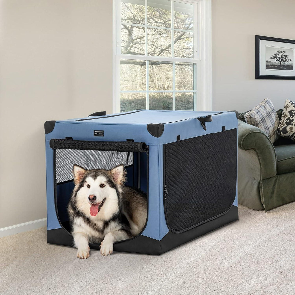 Faltbare Hundebox mit Stoffbezug – Sicher & Komfortabel für Reisen