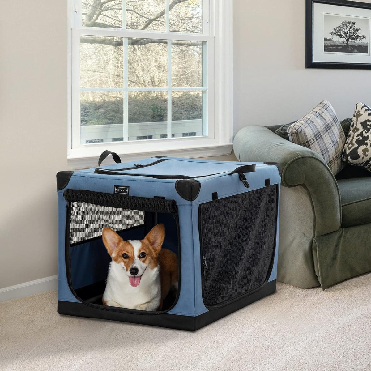 Faltbare Hundebox Blau M – Sicher & Komfortabel für Reisen