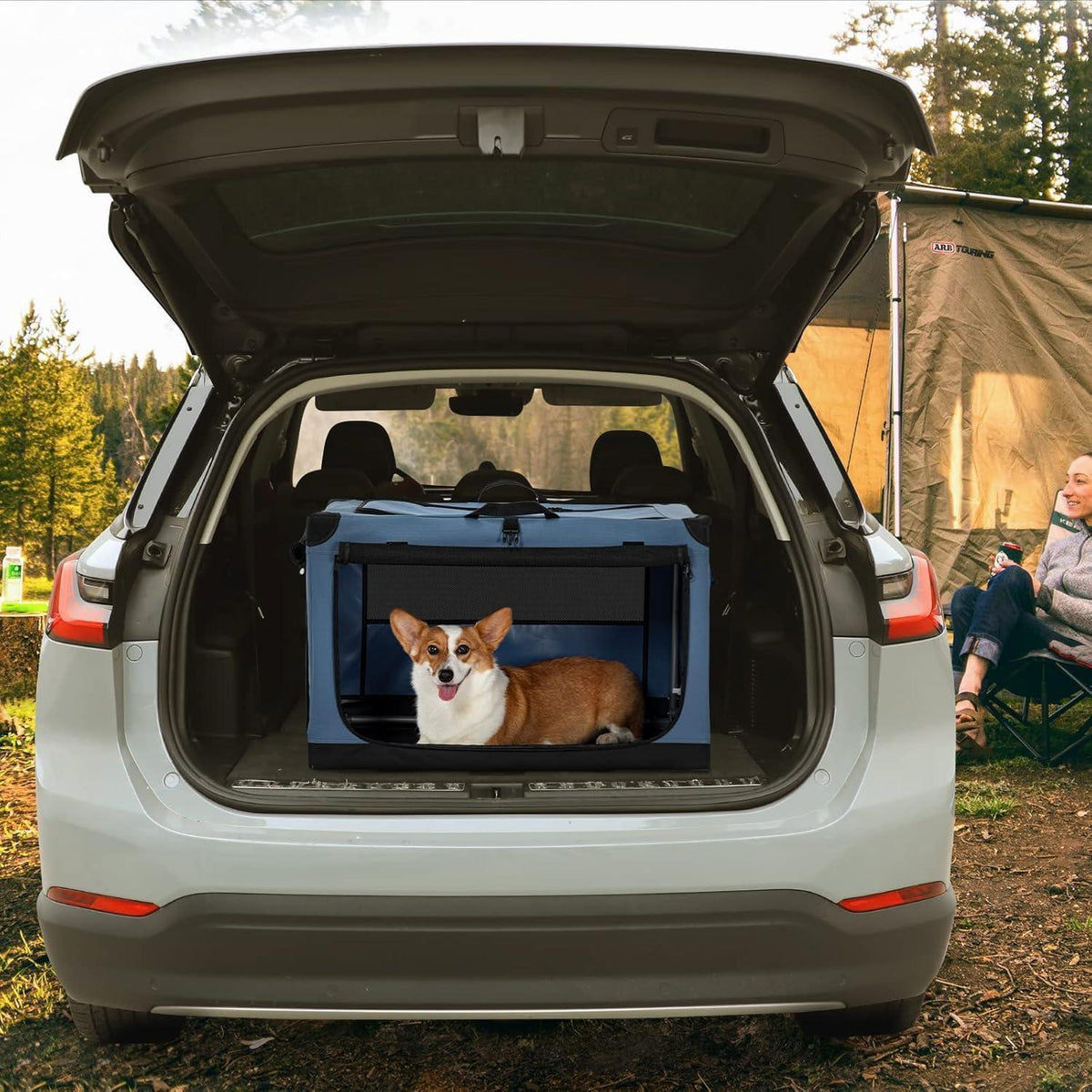 Faltbare Hundebox Blau M – Sicher & Komfortabel für Reisen