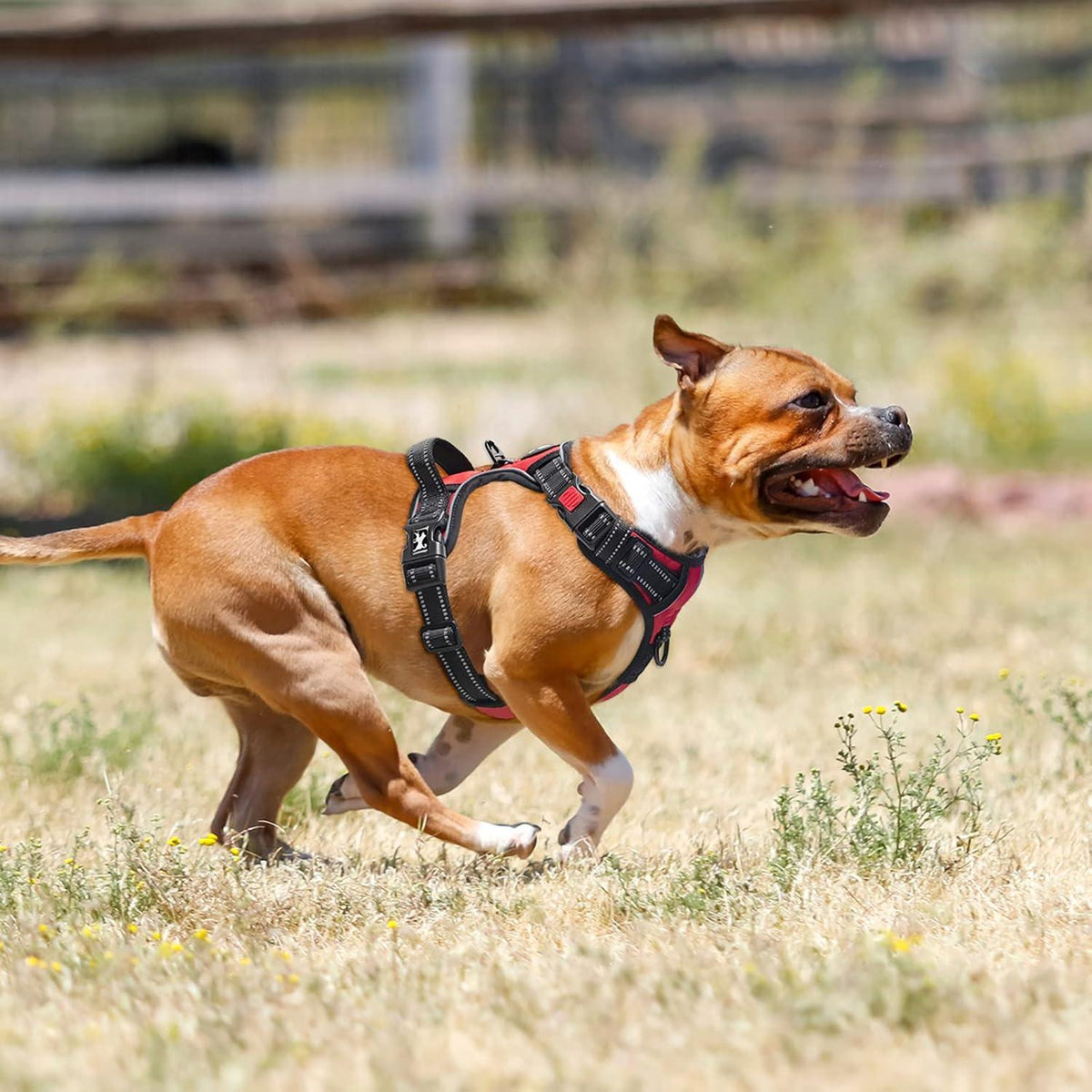 Hundegeschirr gegen Ziehen reflektierend verstellbar weich gepolstert L_rot