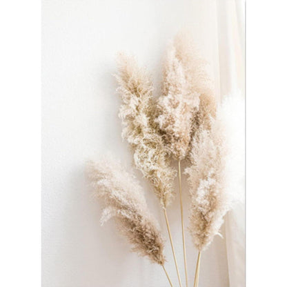 3er Poster Set Schilf – Boho Wandbilder Leinwand Beige