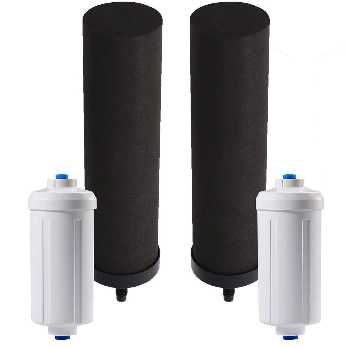 Wasserfilter Set: Schwarzfilter & Fluorid-Entferner