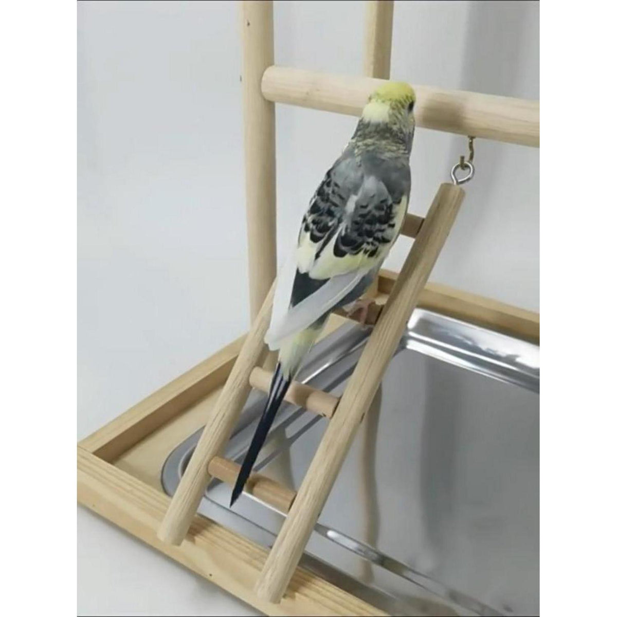 Papagei Spielplatz & Vogelständer – 48x33.5x94.5cm