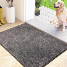 Schmutzfangmatte Innen rutschfeste 50 x 80 cm Fußmatte Hellgrau
