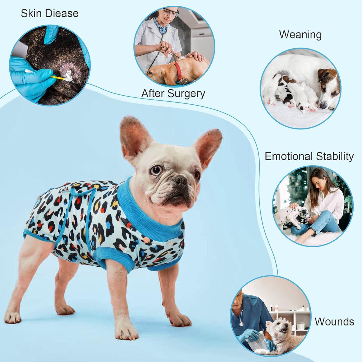 Hundebody OP Recovery Rüde XS Hellblau Bauchschutz op Body