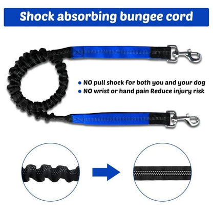 Bungeeleine für Hunde – Reflektierend & Stoßdämpfend 120-150cm