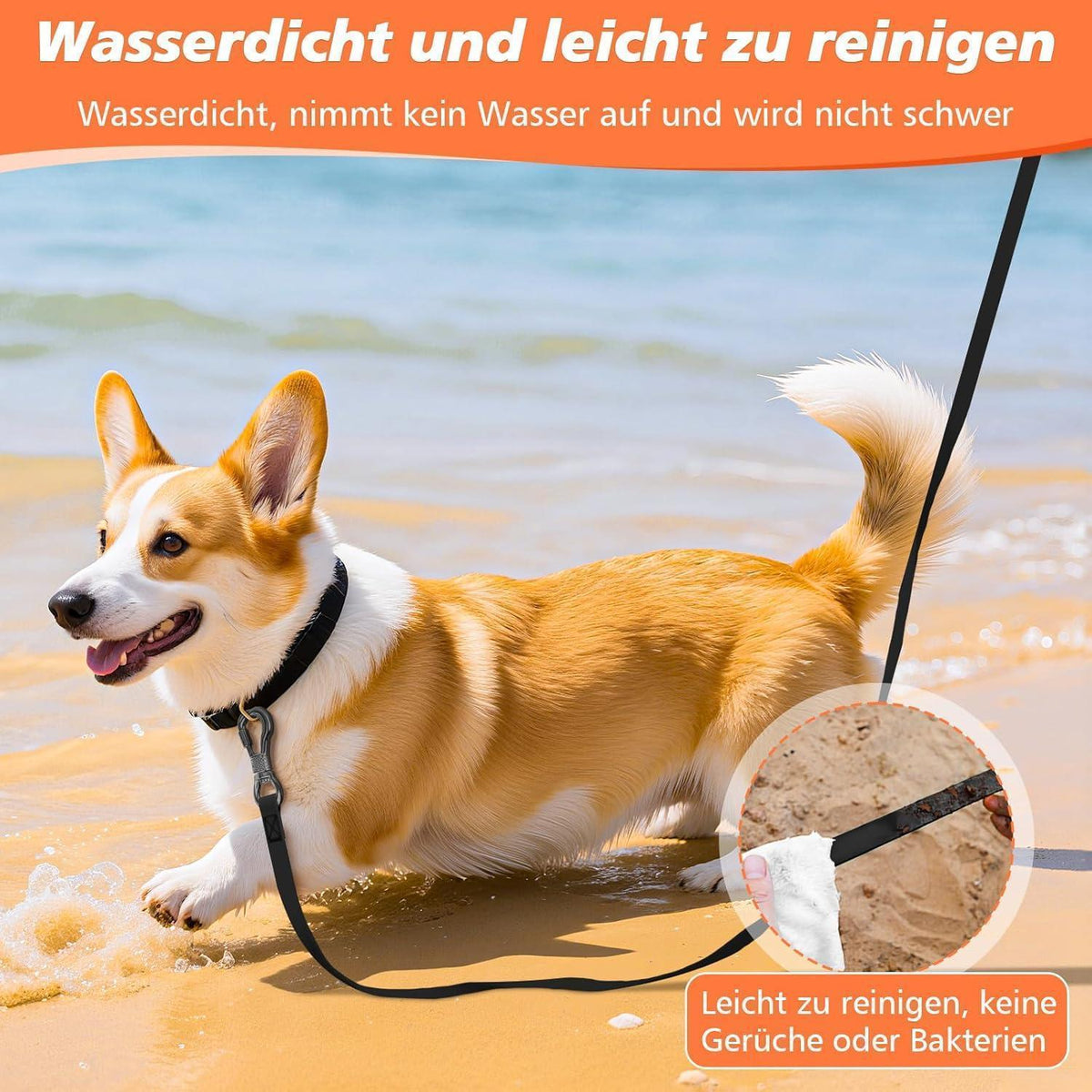 Wasserdichte Schleppleine für Hunde 10M mit abschließbarem Karabiner