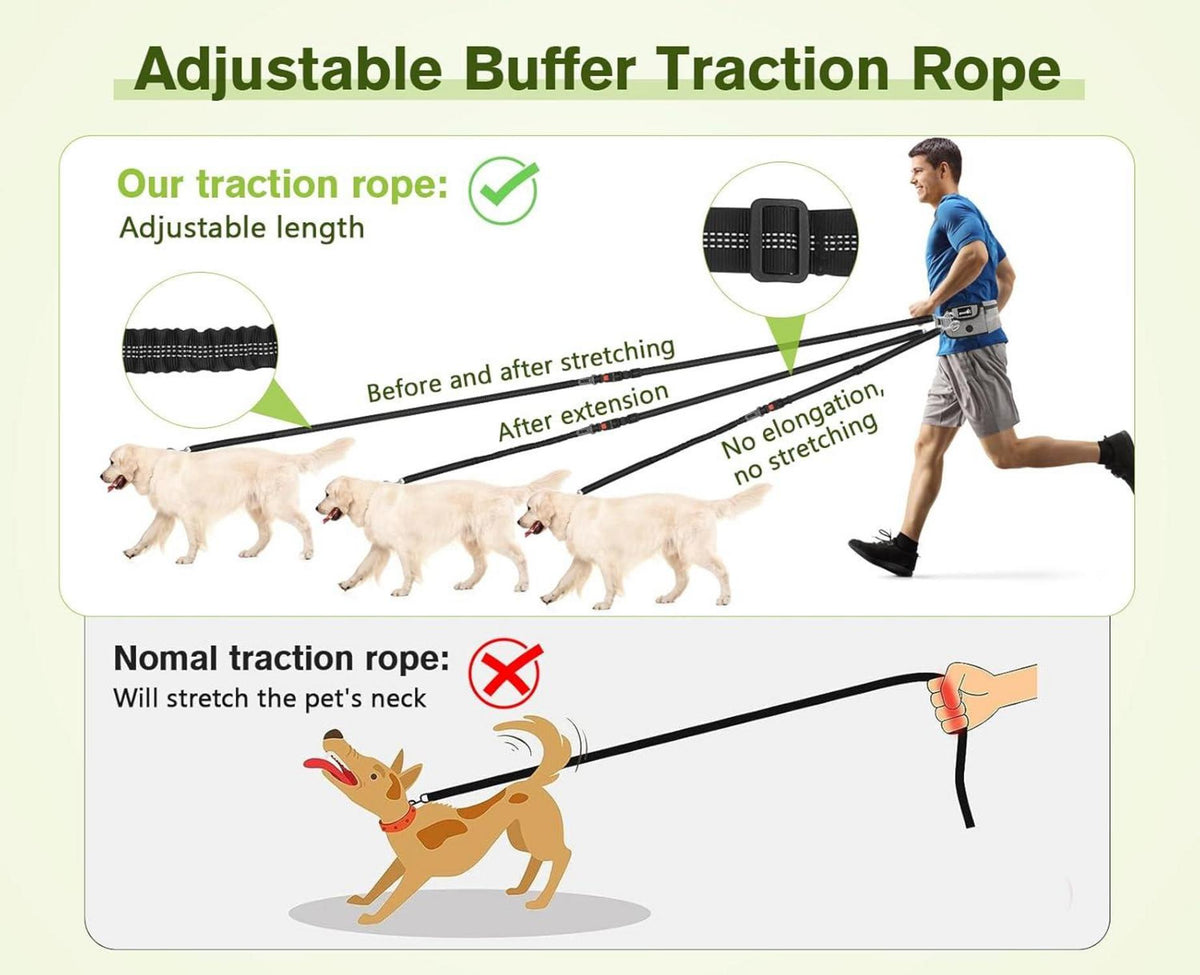 Joggingleine mit Bauchgurt für große Hunde - Reflektierend & stoßdämpfend