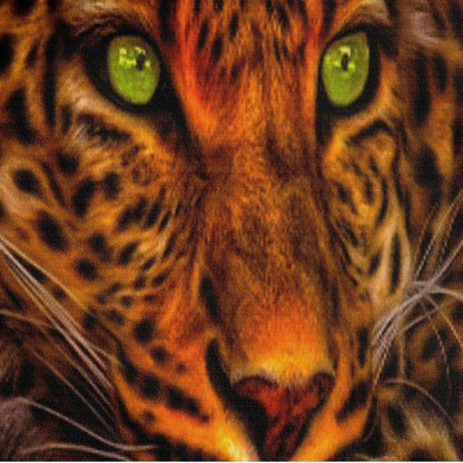 Leoparden Bettwäsche 135x200 - 4tlg. 3D Effekt Bettwäsche Set
