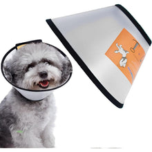 Hundekegel Verstellbar – Schutzkragen für Hunde (23-27cm)
