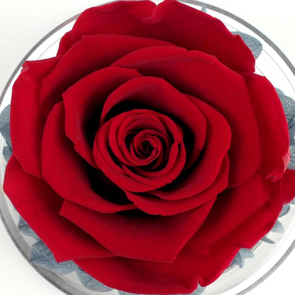 Ewige Rose Engel Figur Geschenk Beste Oma der Welt