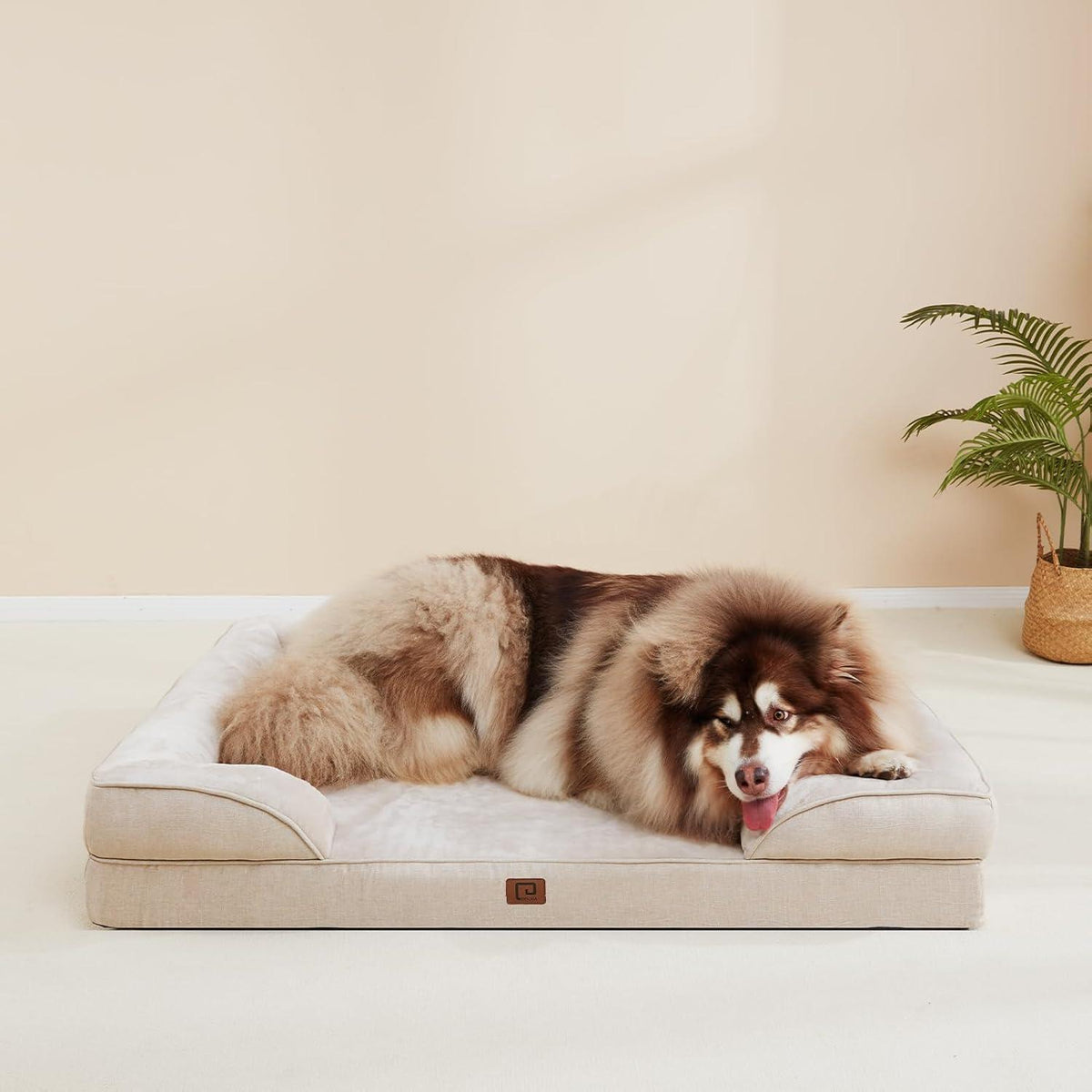 Orthopädisches Hundebett XXL mit Memory Foam, Beige