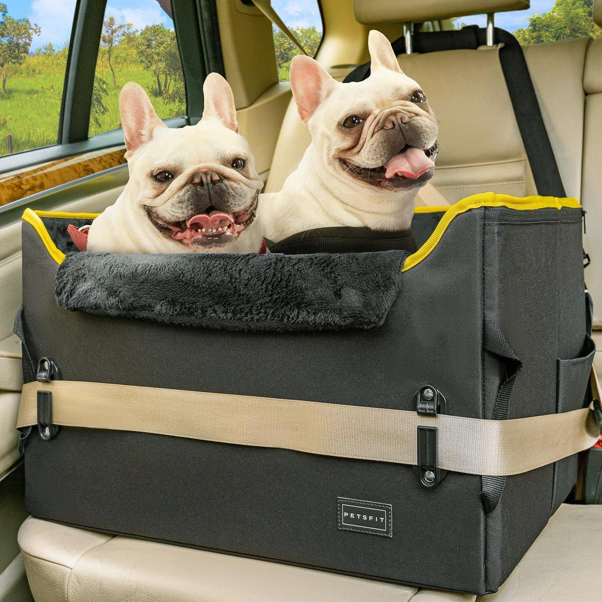 Hund Autositz für kleine Hunde – Sicher & Komfortabel