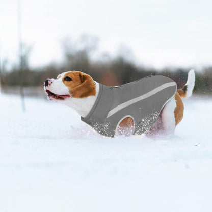Wasserdichter Hundemantel Winterwarm & Winddicht XL-6XL Grau