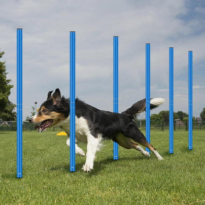 Agility Trainingsset Slalomstangen Fußball Training 6 Stangen