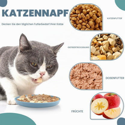 8x Flache Katzenfutter Napf Set - PP Futternäpfe für Katzen