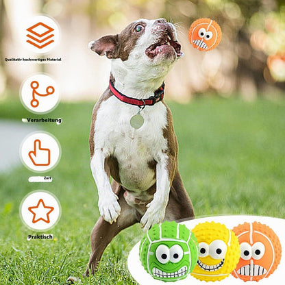 Quietschbälle für Hunde – 6er Set, Robust & Bouncy