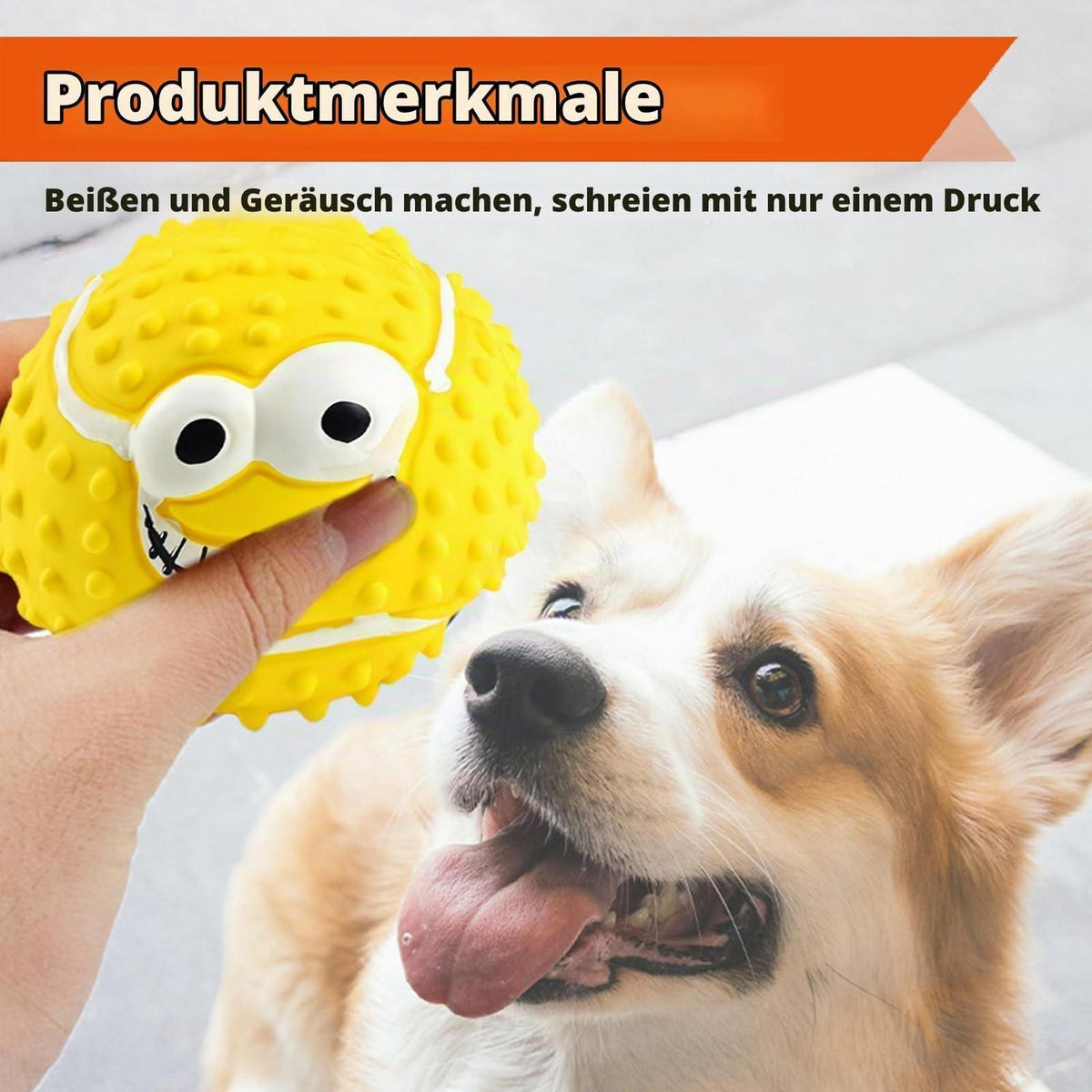 Quietschbälle für Hunde – 6er Set, Robust & Bouncy