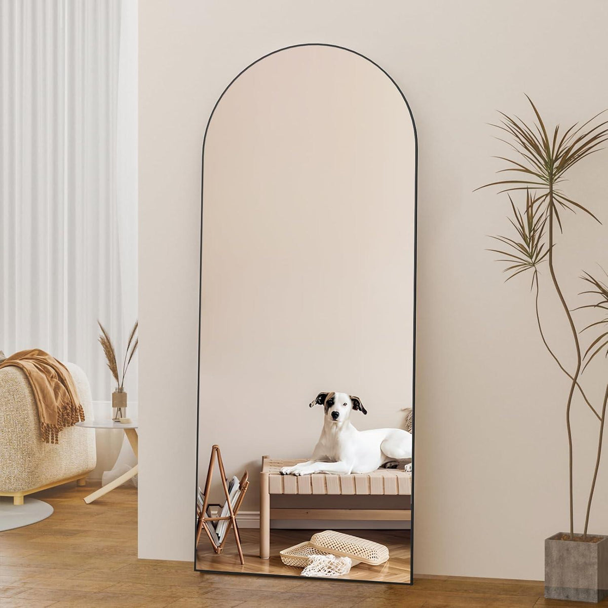 Gewölbter Ganzkörperspiegel 165x60cm – Stehend, Hängend, Schwarz