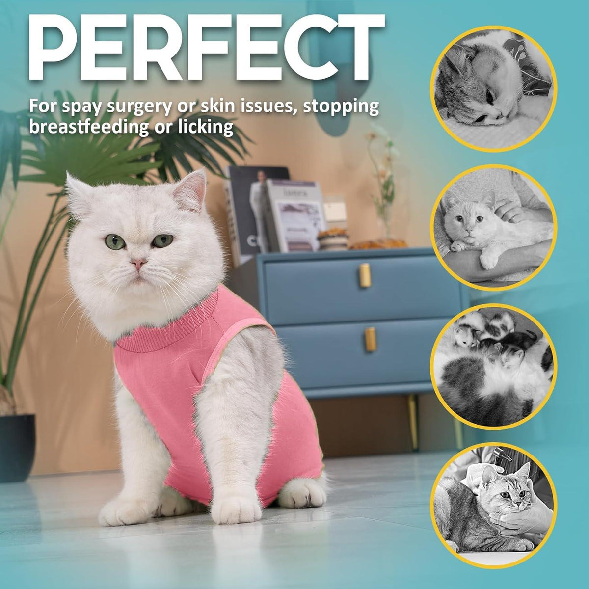 Avont Katzenbody Erholungsanzug Modal Kastration Spay Leckschutz Suit S-Rose Rosa