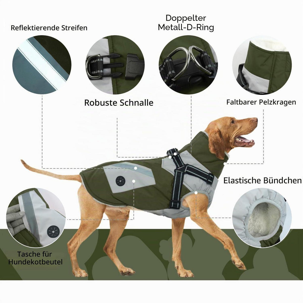 Winterhundemantel Mittel – Wasserdicht & Warm mit Geschirr (Grün, M)