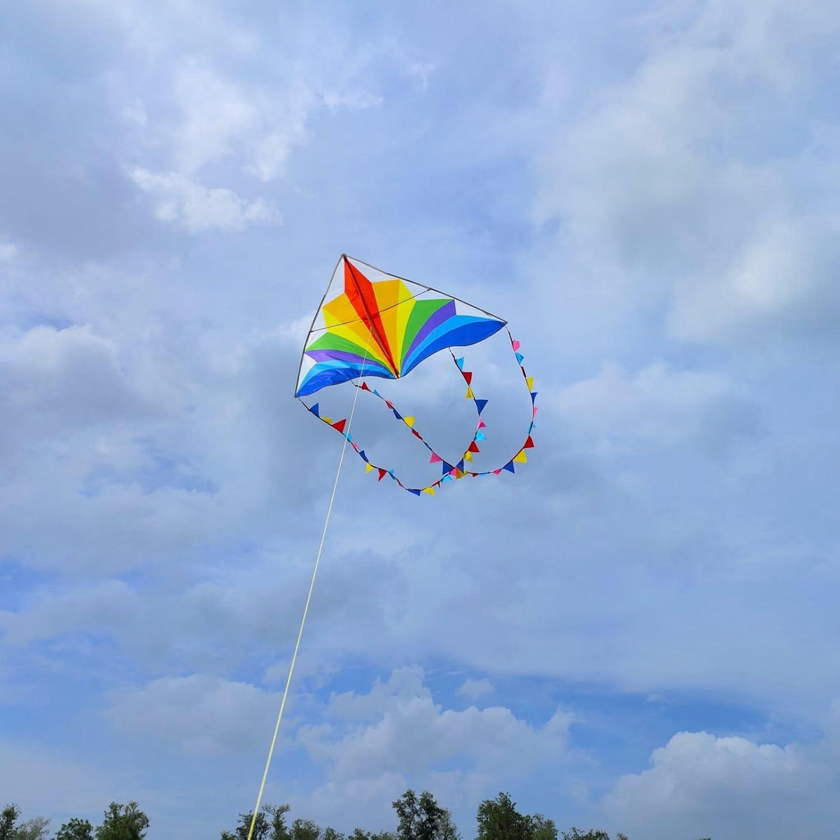 Flying Hoofer Regenbogen Delta Drachen für Kinder und Erwachsene mit 300ft Leine