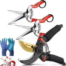 Professionelles Gartenscheren-Set mit