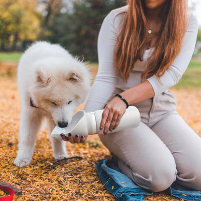 Trinkflasche für Hunde 550ml Silikon Tragbar zusammenklappbar Blau