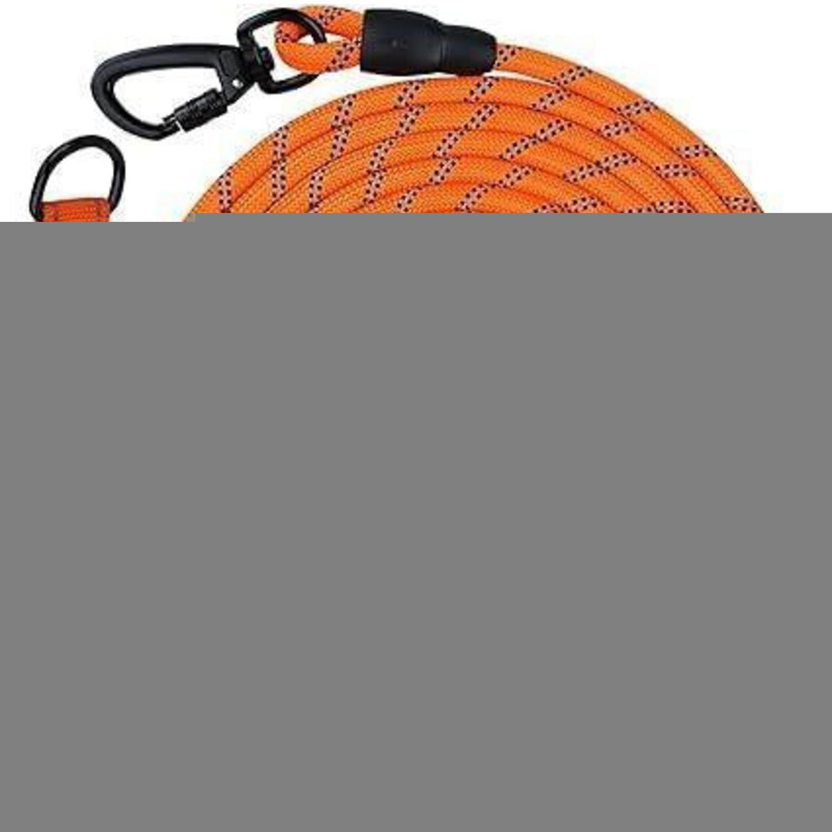 Joytale Schleppleine für Hunde, Reflektierend, Gepolsterter Griff, Orange 10m