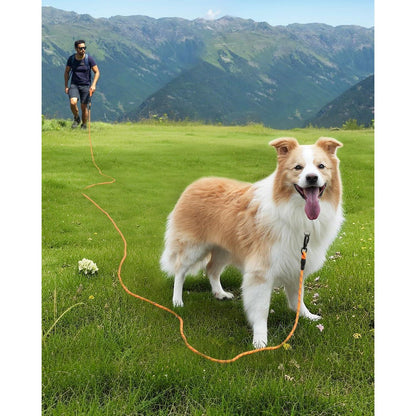 Joytale Schleppleine für Hunde, Reflektierend, Gepolsterter Griff, Orange 10m