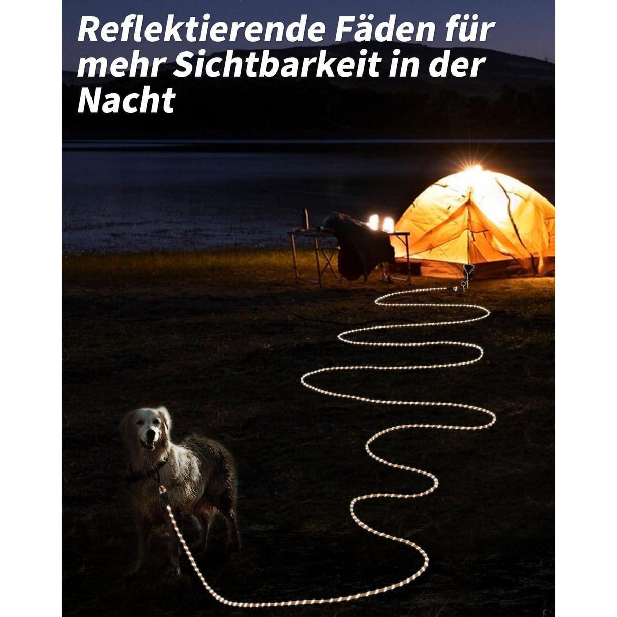 Joytale Schleppleine für Hunde, Reflektierend, Gepolsterter Griff, Orange 10m