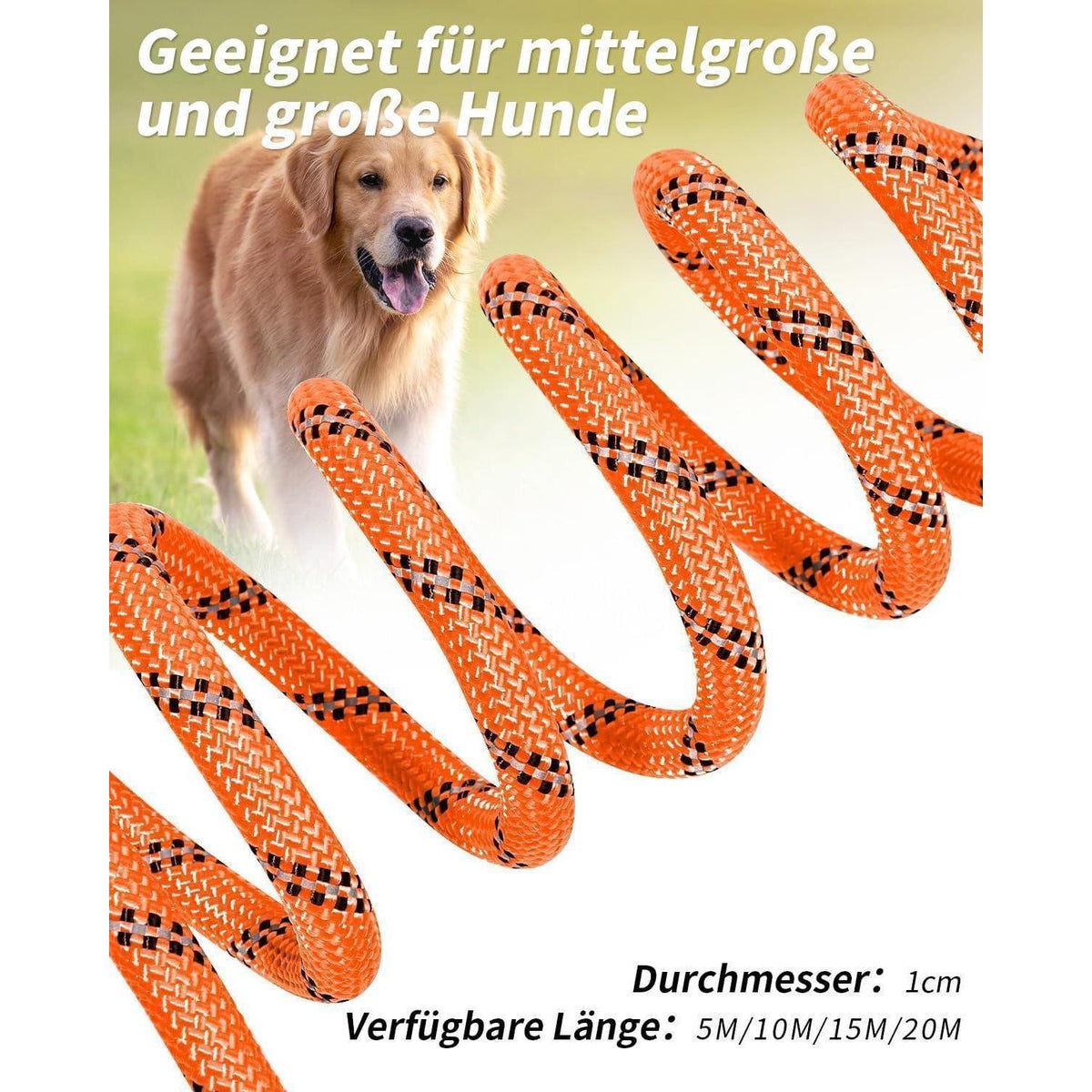 Joytale Schleppleine für Hunde, Reflektierend, Gepolsterter Griff, Orange 10m