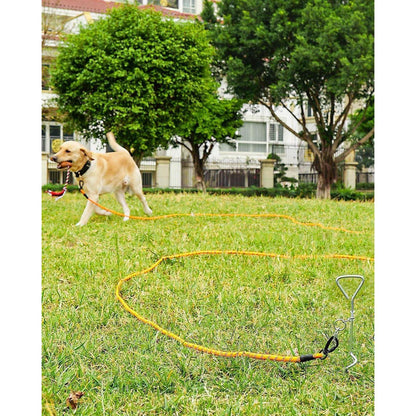 Schleppleine für Hunde, 20m Orange, Reflektierend, Gepolsterter Griff