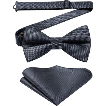 Herren Fliege mit Einstecktuch Set, vorgebunden, taupe