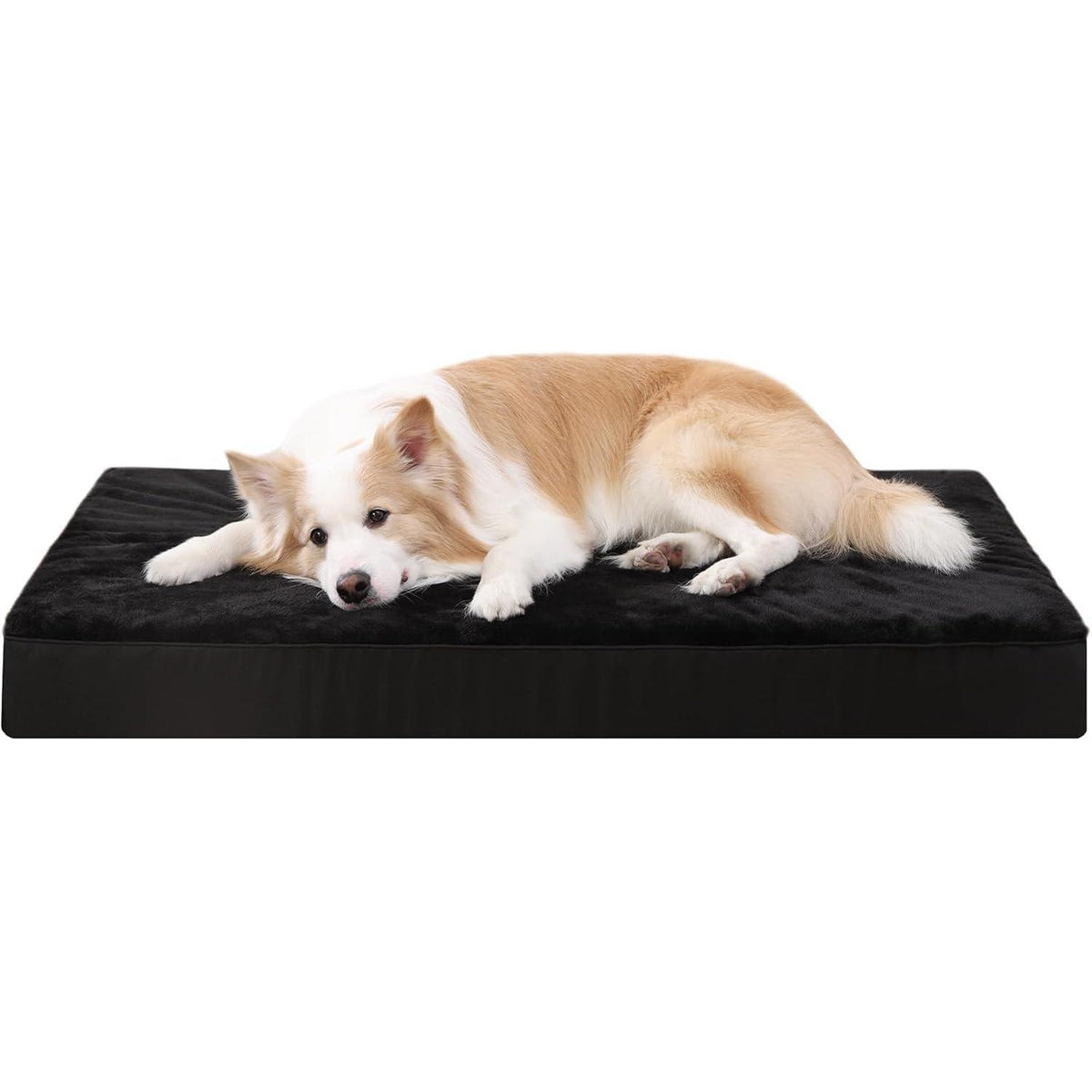 Orthopädisches Hundebett mit abnehmbarem Bezug, waschbar, L